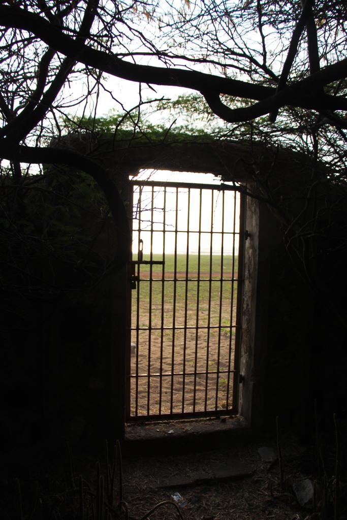 Gate to beach