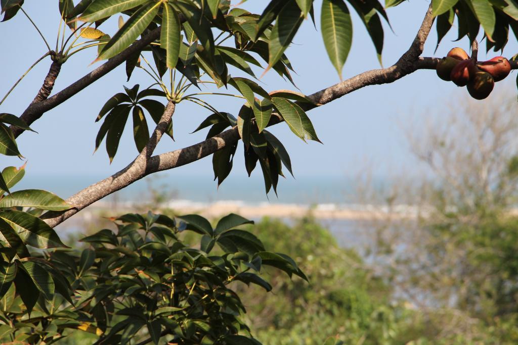 View toward river