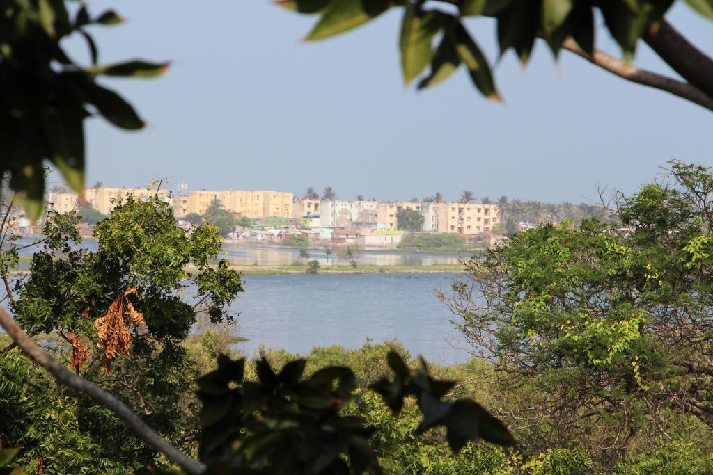 View across the river