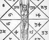 numeros