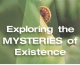 Exploring the Mysteries of Existence